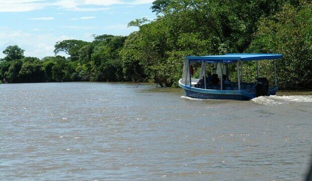 costa rica birding trips Rio Tempisque palo verde