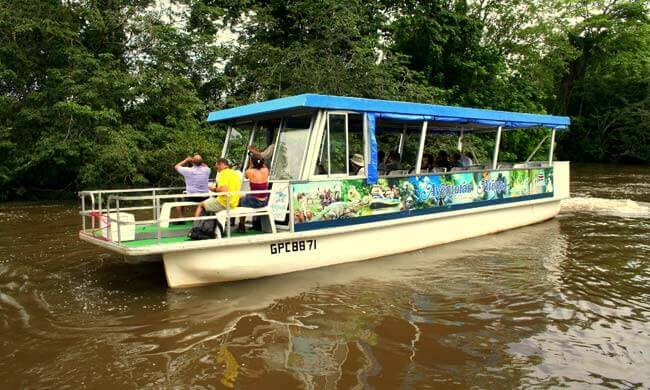 Birdwatching Costa Rica