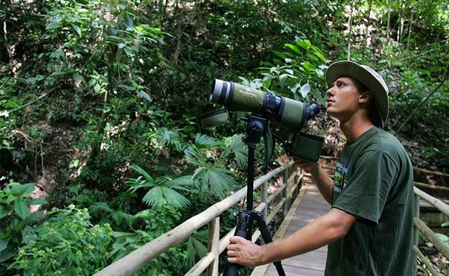 costa rica local bird guides