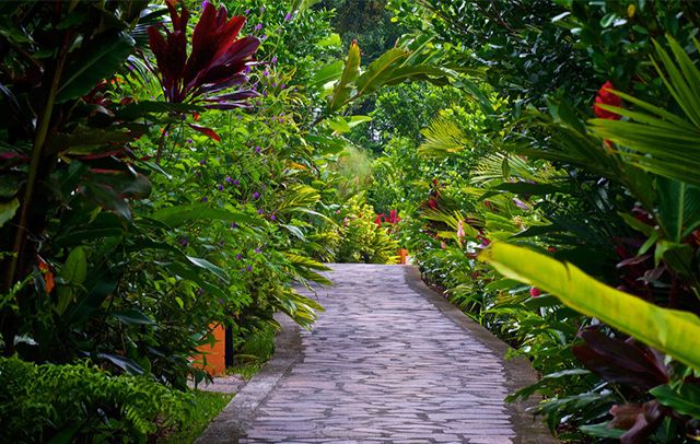 Costa Rica Vacation Rentals Flower Gardens