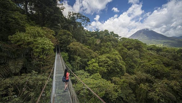 Hanging Bridges Monteverde