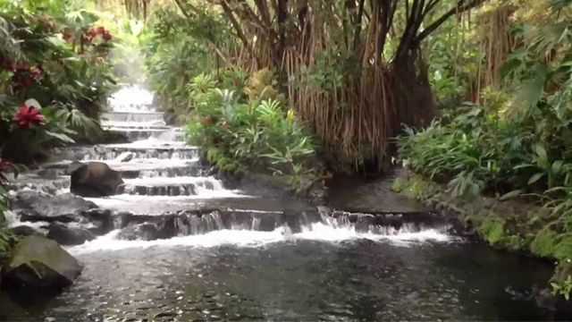 costa rica hot springs resort