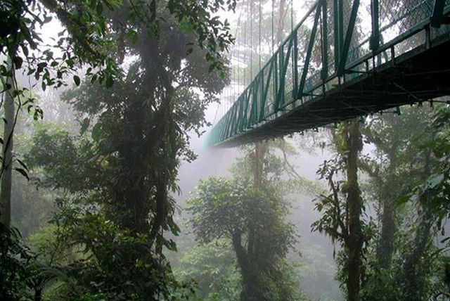 Birdwatching Costa Rica