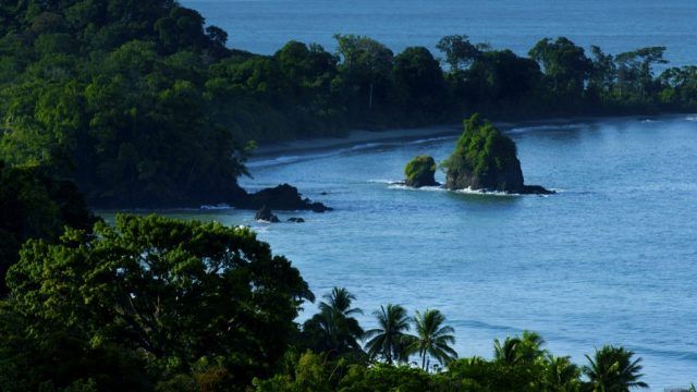 Top Costa Rica birding spots: #5. Manuel Antonio National Park, Costa Rica