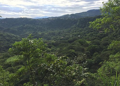 talamanca birding hotspot costa rica